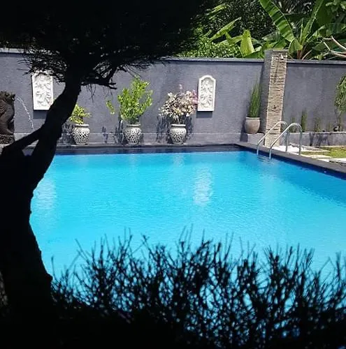 Mias Jungle House *