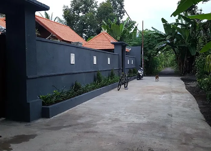 Mias Jungle House فندق