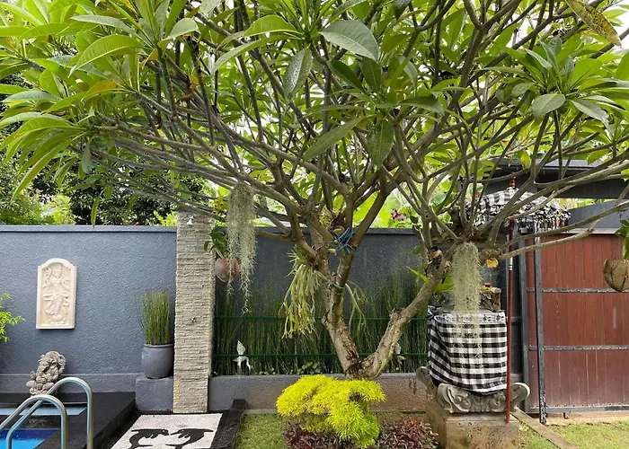 فندق Mias Jungle House
