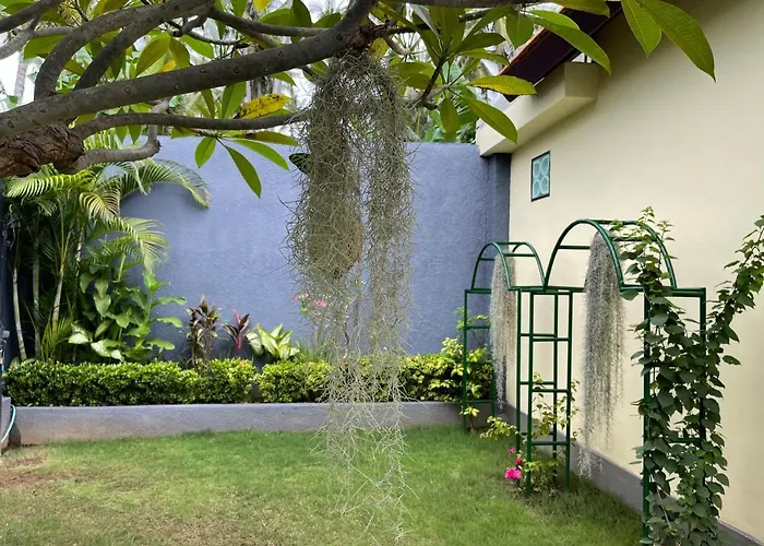 Mias Jungle House فندق