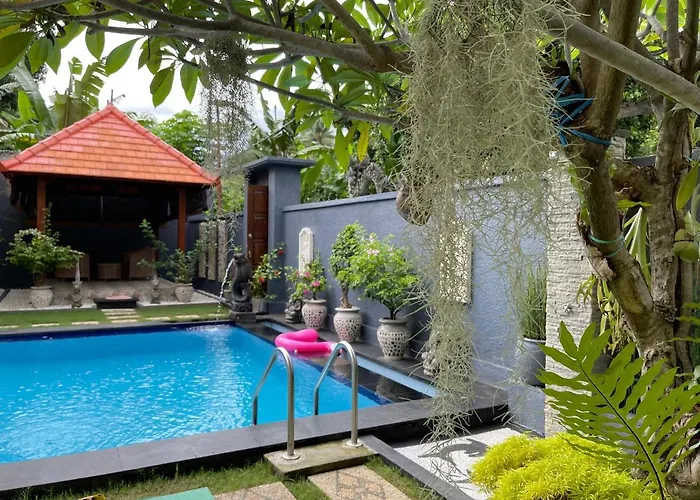 Mias Jungle House