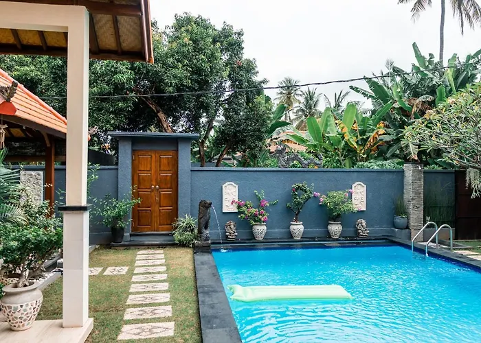 Mias Jungle House