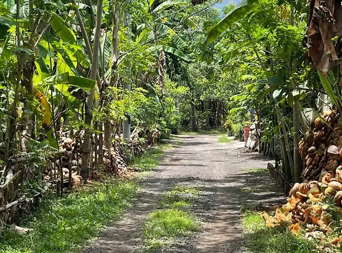 Mias Jungle House فندق لوفينا